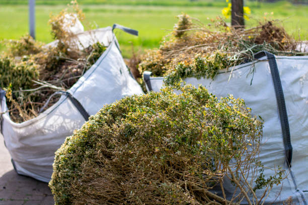Best Retail Junk Removal  in Rushford, MN